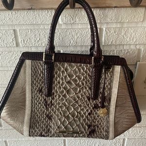 Beautiful tonal Brahmin Bag